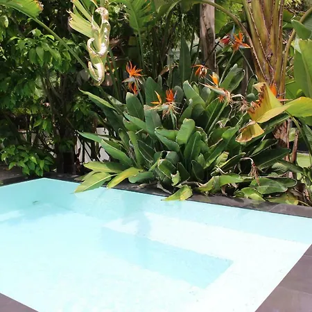 Le Ruisseau Villa Cannes